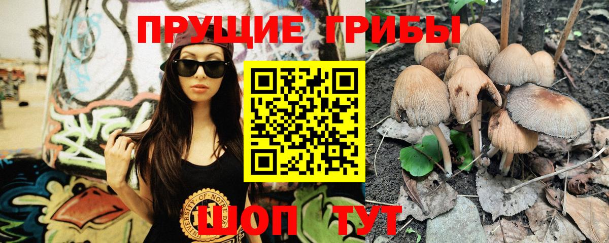 Кудрово  Псилоцибиновые грибы мухоморы  Вход с VPN 