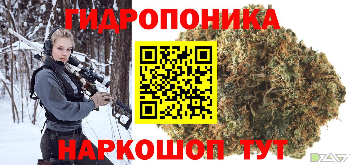 Марихуана OG Kush Кудрово